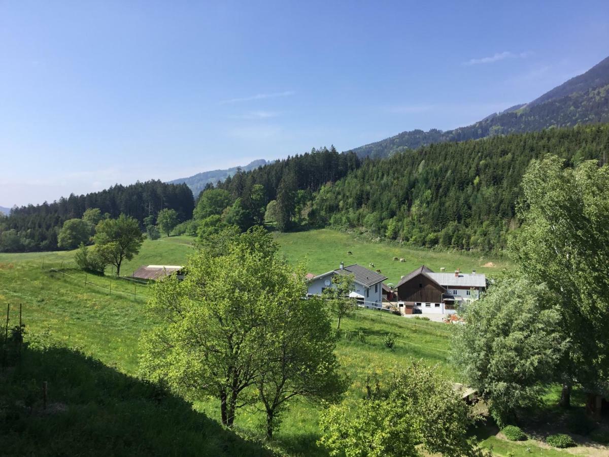 "Natur Pur" Ferienwohnung Mit Eigener Sauna Rons Zewnętrze zdjęcie